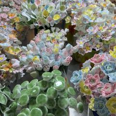 FU QI TUO TUO User Photo