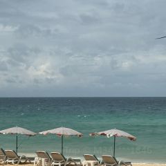 Oriental Kopi 華陽 @ Pavilion KL張用戶圖片