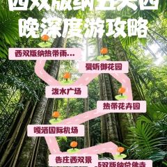 Princess Nan User Photo