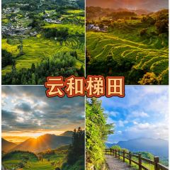 NA MING YIN XIANG User Photo