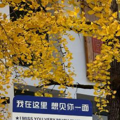 广府居酒楼 User Photo