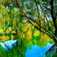 枇杷熟了coffee User Photo