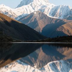 Panda Family User Photo