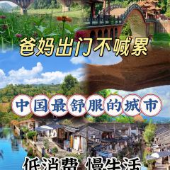 仓桥直街臭豆腐 User Photo