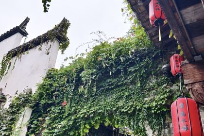 HUI ZHOU FU XI YAN LOU