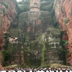 棣爸油炸 User Photo