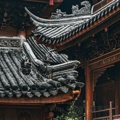 张记逍遥胡辣汤(大坑沿街店) User Photo