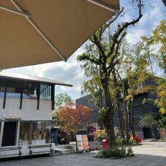 SOMEWHERE kitchen User Photo