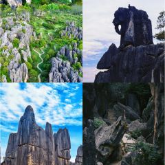 板桥陈记老燕凉卷粉 User Photo