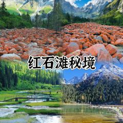 昌隆·家家鹅乡·海南菜 User Photo