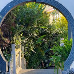 迎曦小院 User Photo