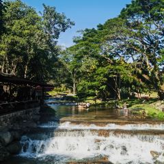 碧波莊園張用戶圖片