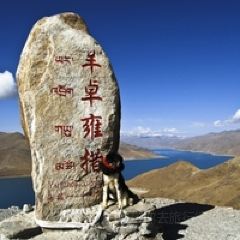 ZhaXi XiaoChi User Photo