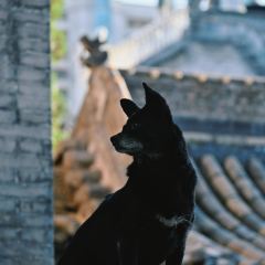 常相聚食府(桥东街店) User Photo