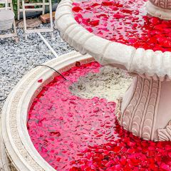 海如的花園張用戶圖片