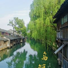 THE FOREST LIVE MUSIC 여행 사진