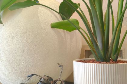 三木咖啡(天一店)