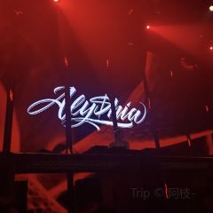 POTENT張用戶圖片