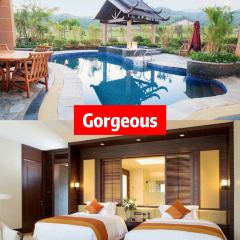 竹園中餐廳張用戶圖片