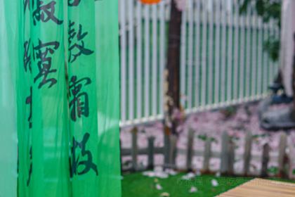 MioCat&Dessert猫咖