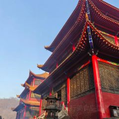 九莲土菜馆 User Photo
