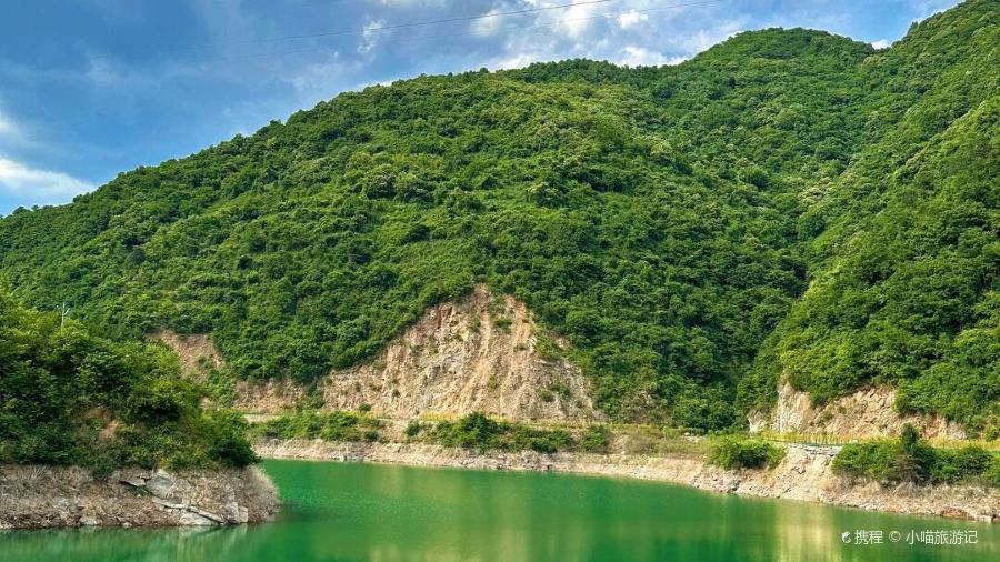 WEI ZHENG XIANG NONG GU CAI