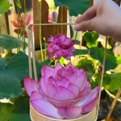 CHANG TING JIU GUAN User Photo