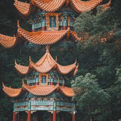 老东门冰室 User Photo