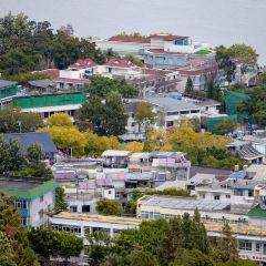 邛海飄香魚館張用戶圖片