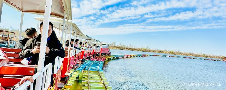 Qixing Island Wetland Scenic Area