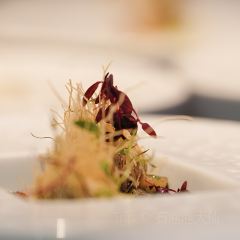 FONG SENSE User Photo