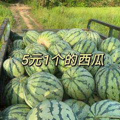 兴新酸嘢·水果果汁鸡爪(金湾步行街店) User Photo