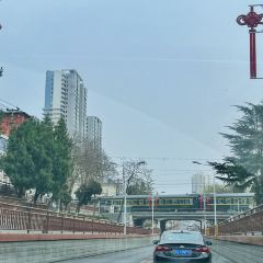 XIAO FANG NIU ảnh của người dùng