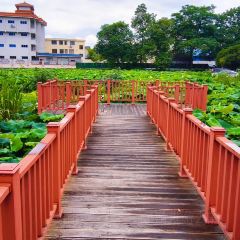 新郭记油茶(八角塘店) User Photo