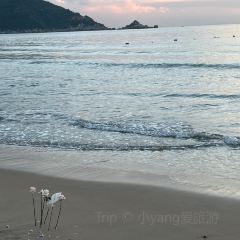 美味鮮小炒(南澳店)張用戶圖片