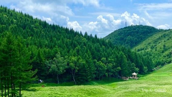 Tuoliang Yunding Grassland