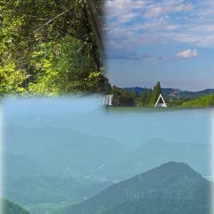 王阿姨梅花糕 User Photo
