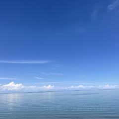 青海湖藏趣部落民宿·特色餐厅 User Photo