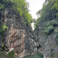 華萊士(關索店)張用戶圖片