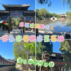 LAO BAO DING User Photo