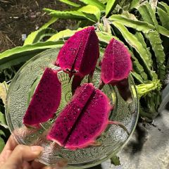 虎婆香草鴨·海南大排檔（清水灣美食街店）張用戶圖片
