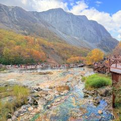 七星布车休闲料理店 User Photo