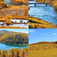 Manda Sheng Yuan Xiang chafing  dish User Photo