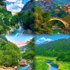 美玲酒酿豆腐 User Photo