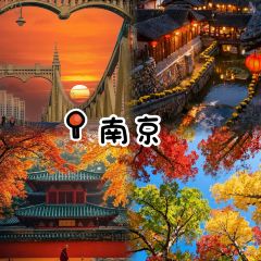 秀嫂挞粿 User Photo