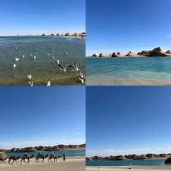 乌素特水上雅丹梦幻星空野奢度假酒店·雅丹之夜 User Photo