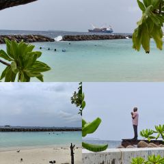 Citron by Lemongrass User Photo