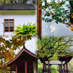 XIONG DILIA User Photo