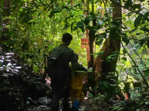 Xishuangbanna Naka Rainforest