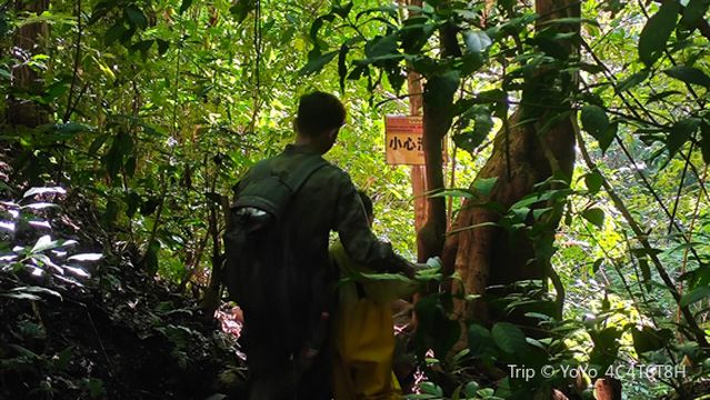 Xishuangbanna Naka Rainforest